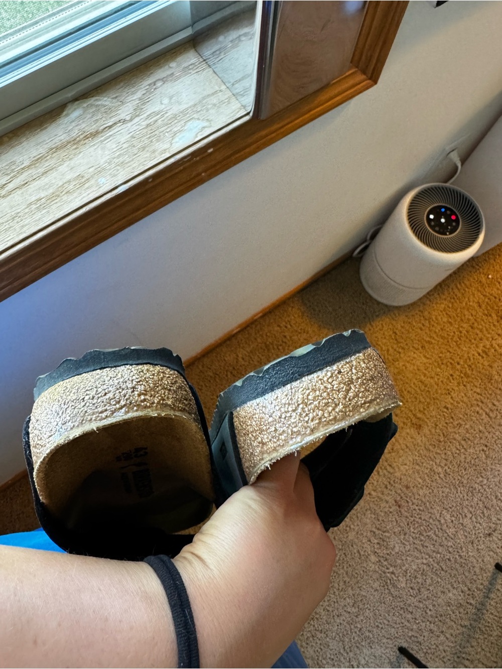 Brand new Birkenstocks - Picture 6 of 6